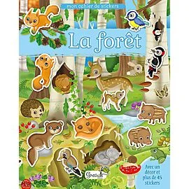 Image du produit