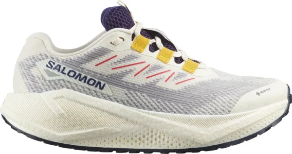 Chaussures de course Gravel Gore-Tex Aero Blaze 3 de Salomon – Femmes