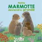 Image du produit précédent