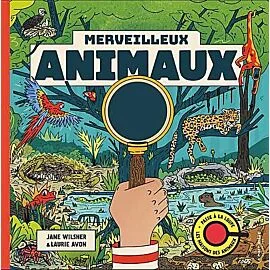 Image du produit