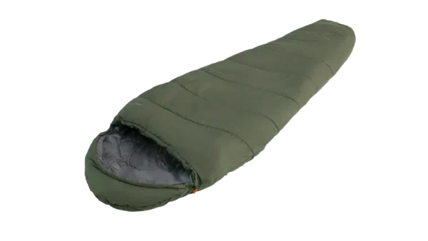 Raven II Mummy -1°C