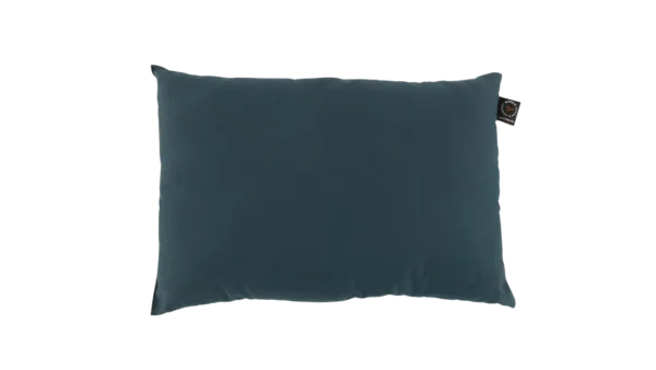 Raven Pillow