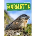Image du produit suivant