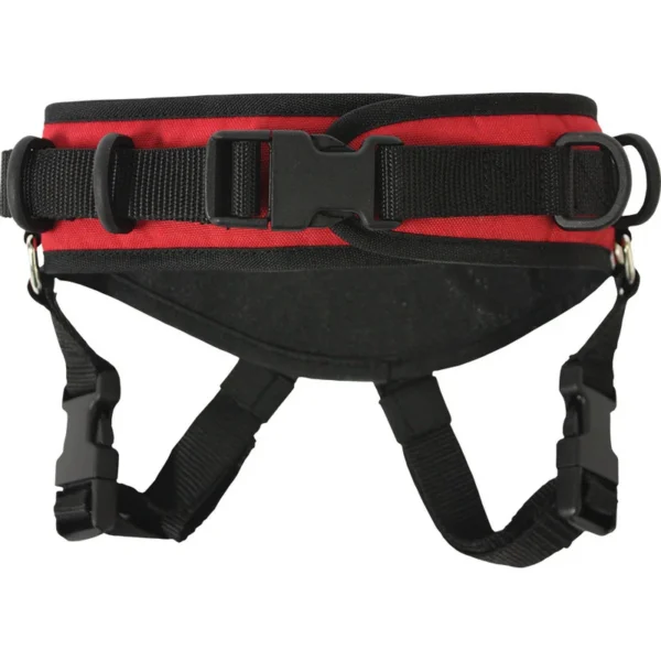 Harnais de ski Ultimate de Ski Ties – Petits
