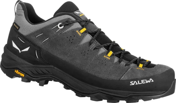 Chaussures de courte randonnée Alp trainer 2 GTX de Salewa – Hommes