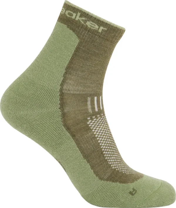 Chaussettes légers Mini Hike+ de icebreaker – Unisexe