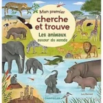 Image du produit précédent