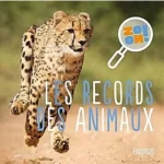 Image du produit suivant