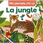 Image du produit précédent