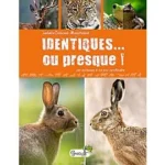 Image du produit précédent