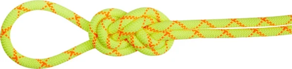 Corde sèche 9,5 Alpine Core Protect de Mammut