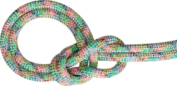 9.0 We Care Dry Rope de Mammut