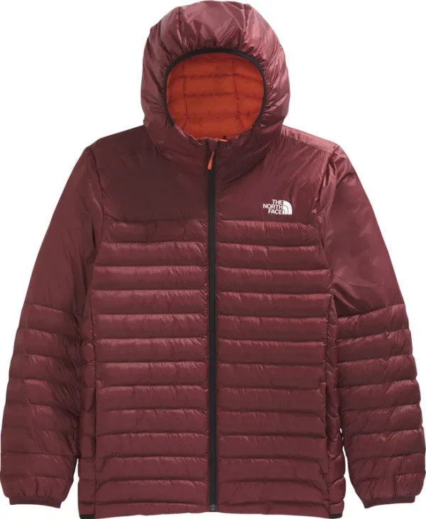 Haut à capuchon Terra Peak de The North Face – Hommes