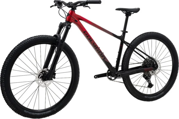 Xtrada 6 Mountain Bicycle de Polygon – Unisexe