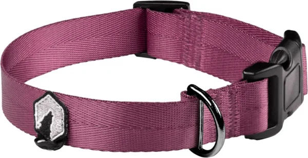 Collier Breaker de Canadian Canine